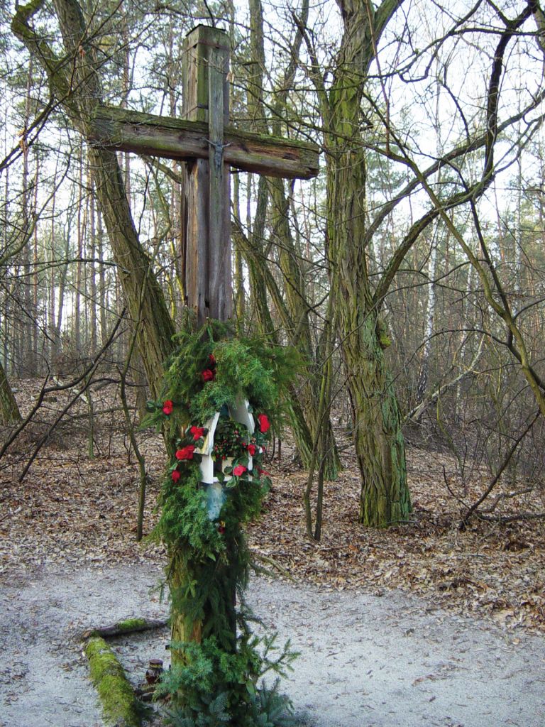 Krzyż powstańczy w Józefowie przy ul. Leśnej stan przed renowacją (fot. autor).