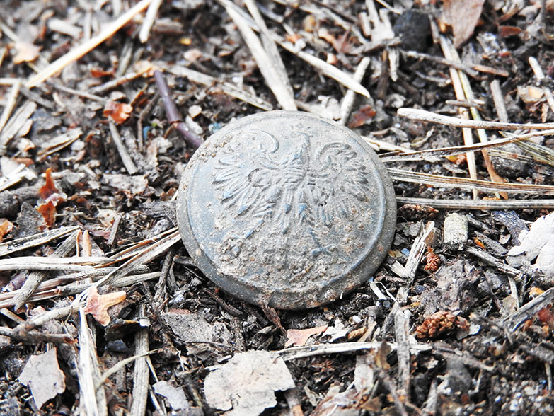 Jeden ze znalezionych przy szczątkach guzików wojskowych wz. 28 (fot. Nieporęckie Stowarzyszenie Historyczne)