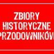 Przodownik