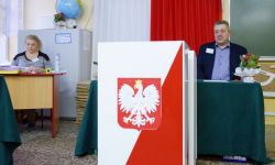 wybory-samorzadowe-2014