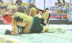 mma