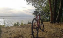 rower