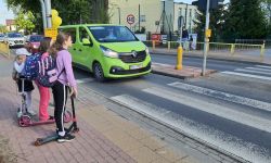 bezpieczna zebra1
