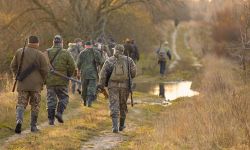 group of hunters during hunting in forest. hunting with the approach