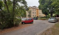 daliowa5