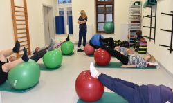 rehabilitacjawim10