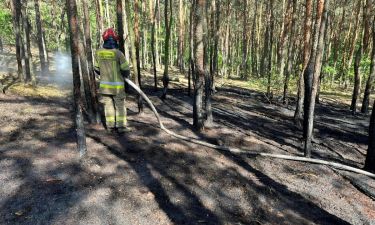 Pożar lasu przy ulicy Orląt Lwowskich w Legionowie (fot. KP PSP w Legionowie)