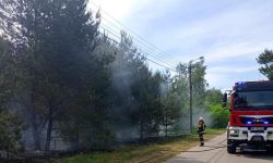 Pożar trawy i poszycia leśnego przy ulicy Olszankowej w Skrzeszewie 1 (fot. OSP Skrzeszew)