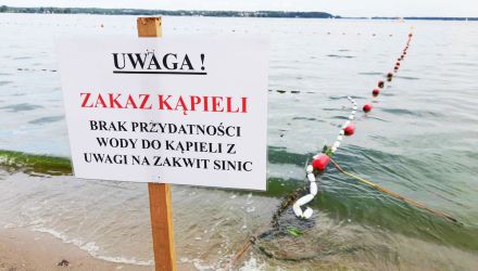 Zakaz kąpieli na plaży w Nieporęcie (fot. GP/ow)