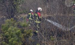 pożar traw skrzeszew1
