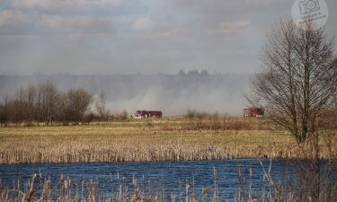 Pożar traw w Górze (fot. P.Mostowiec) 6