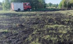 Pożar trawy w Krubinie (fot. OSP Krubin) 1