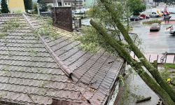 Drzewo przewrócone przy Sobieskiego w Legionowie 1