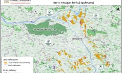mapa lasy społeczne
