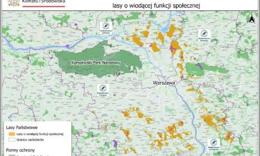 mapa lasy społeczne