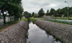 parkkieszonkowy1