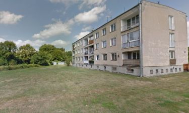 różowa jabłonna