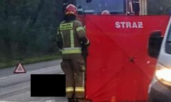 Zderzenie auta osobowego z łosiem na ul. Modlińskiej w Suchocinie (fot. Czytelnik) 1
